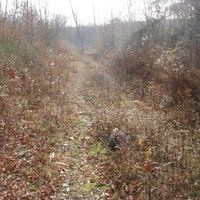 allegheny mountains 12