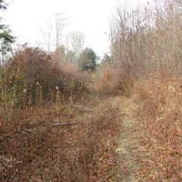 allegheny mountains 13