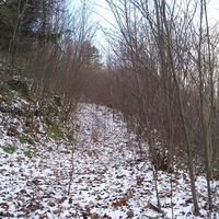 allegheny mountains 14