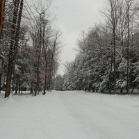 allegheny mountains 15