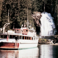 Wildgoose in Washington State