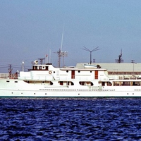 Wildgoose in Los Angles Harbor