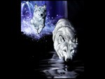 WHITE WOLF FANTASY