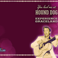 Hound Dog