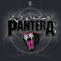 Pantera Black