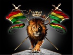 rastafari lion
