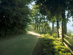 Down a country road