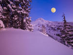 winter moon