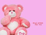 pink teddy
