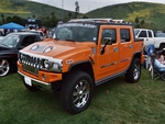 ORANGE HUMMER