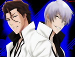 Aizen and Gin