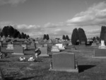 Grave yard