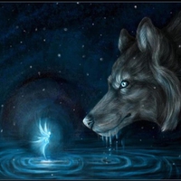 Wolf Fairy