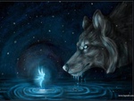 Wolf Fairy