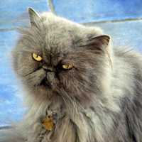 wide-eyed and lovely.