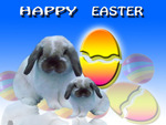 Easter Bunnies