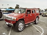 SHOWY HUMMER