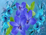 Blue and Purple Floral