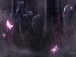 Graveyard & Butterflies
