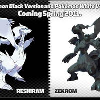 Pokemon Black and White
