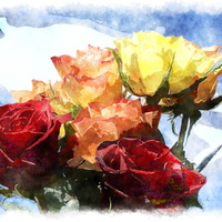 bouquet for nine55rose