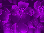 Glowing Purple Flower