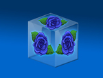 Blue Rose