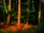 Red and green forest