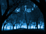 blue forest