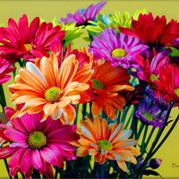 Spring brights for Beth