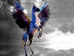 Pegasus
