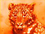FIRE TIGER