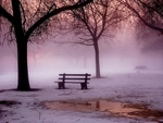 Bench in Misty Fog