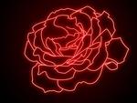 neon rose 