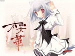 white hair neko