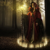 Wizard of the Forest