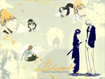 Bleach Ichigo & Rukia
