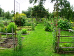 The Garden