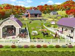 Equestrian Playground