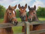 Painted Horses
