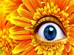 Eye Of Nature
