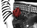 red rose emo
