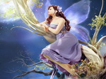Fairy
