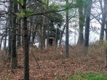 Outhouse In The Woods