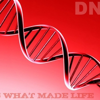 dna