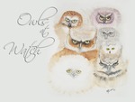 Owls at Watch