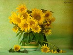 Sunflowers