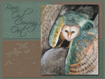 Barn Owl Coming Out