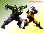 Hulk vs Wolverine