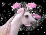 Flower Horse